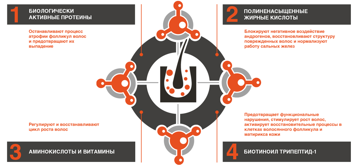 Фоллицель